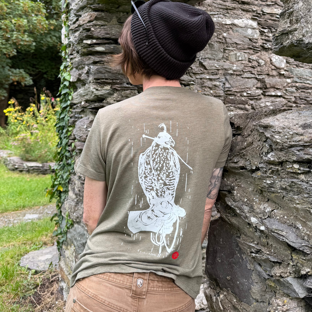 Hooded Gyr - Ladies' Tri-Blend Tee (3 colors)