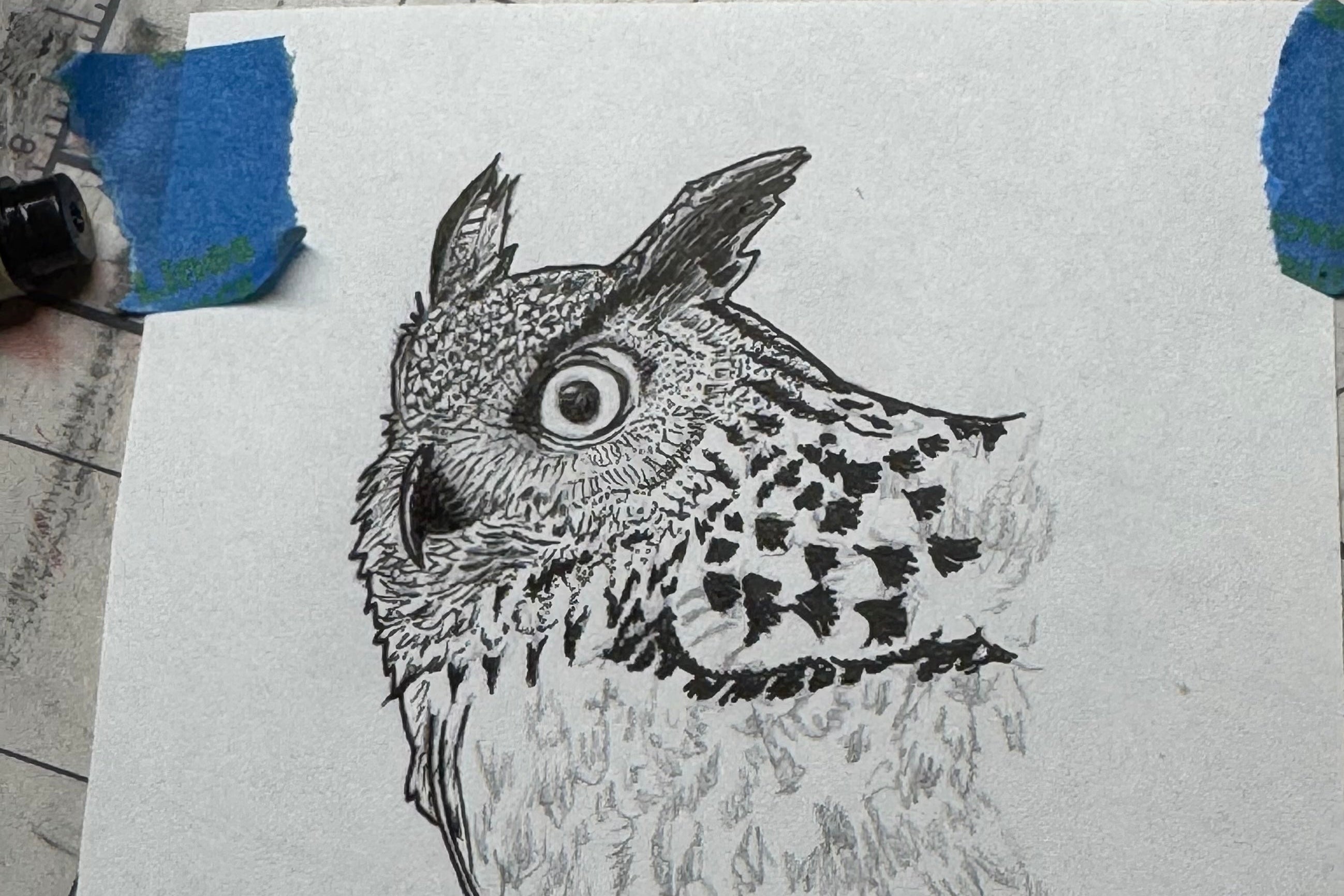 Bubo bubo Original Print 5.5x6