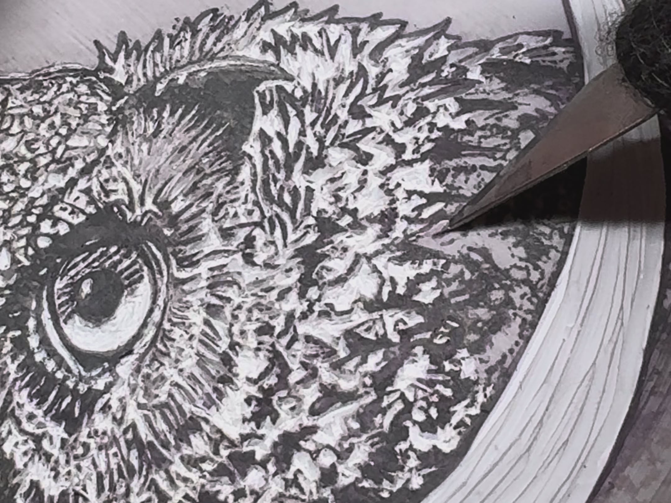 Bubo bubo Original Print 5.5x6